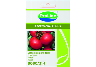 Pomidorai  "Bobcat H"  - 10s