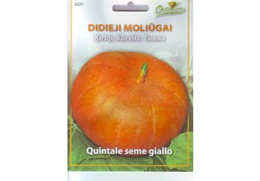Moliūgai Quitale seme giallo 2,2