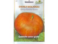 Moliūgai „Quitale seme giallo“ - 2,2