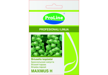 Briuselio kopūstai  "Maximus H" - 15s