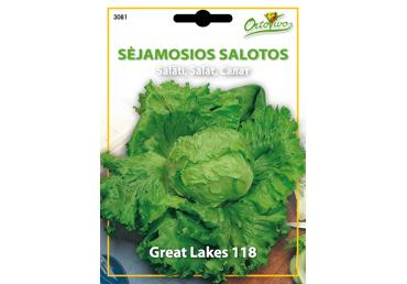 Salotos Great Lakes 118 3,2