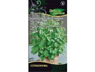 Bazilikas  Citrininis