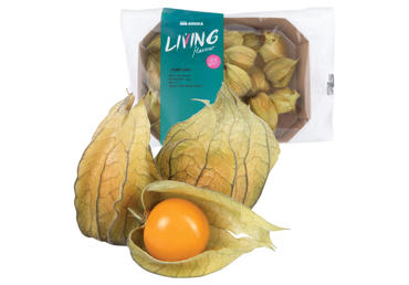 Dumplūnės, 100 g