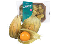 Dumplūnės, 100 g