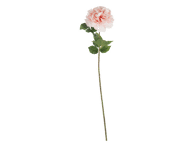 Dirbtinė gėlė ILAJA, 66cm