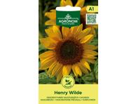 Saulėgrąžos Henry wilde,  AGRONOM