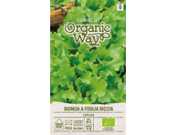 Sėjamųjų salotų BIONDA A FOGLIA sėklos