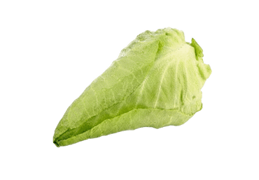 Kopūstas smailėjančia gūže, 1 vnt.