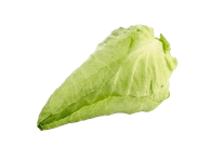 Kopūstas smailėjančia gūže, 1 vnt.