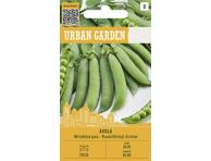 Žirniai Avola 1 vnt. 