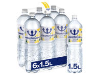 Citrinų skonio vanduo NEPTŪNAS, 6 x 1.5 l