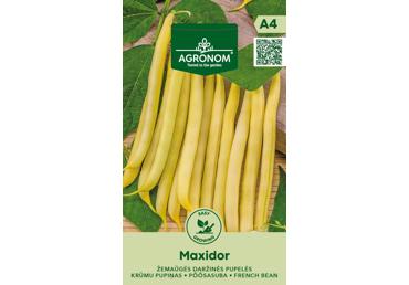 Sviestinės pupelės „Maxidor“ 1 vnt.