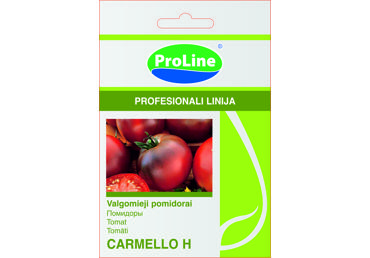 Pomidorai  "Carmelo H" - 10s