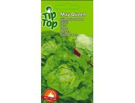 Salotos Regina di Maggio (May Queen)