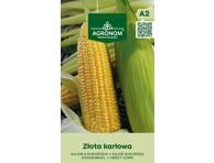 Kukurūzų sėklos ZŁOTA KARŁOWA,  AGRONOM