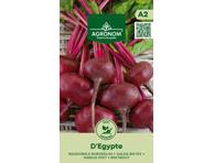 Burokėliai D'Egypte,  AGRONOM