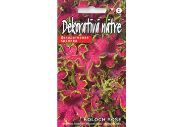 Darželiniai margeniai KOLOCHA ROSE