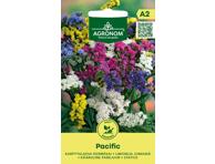 Kermėkai Pacific,  AGRONOM