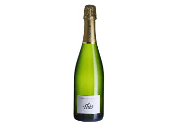 Putojantis baltasis sausas vynas Cremant Theo Extra Brut, 750 ml