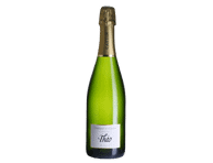 Putojantis baltasis sausas vynas Cremant Theo Extra Brut, 750 ml