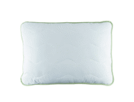 Pagalvė ELDORADO HOME, 50x70 cm, Aloe vera