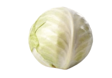 Ekologiški baltagūžiai kopūstai EKOLOGICA, 1 kg