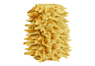 POPULIARUSIS šakotis ROMNESA, 1 kg
