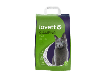 Мэнди Блюмен порно