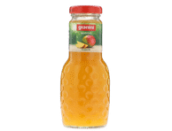Mangų sulčių gėrimas GRANINI, 24 %, 250 ml, depozitinė tara, 250 ml