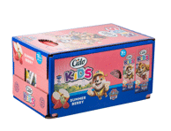 Gaivusis sulčių gėrimas PAW PATROL SUMMER BERRY, 18 x 200 ml
