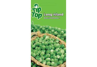 Kopūstai briuselio  Long island