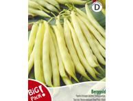 Pupelės žemaūgės daržinės Berggold 