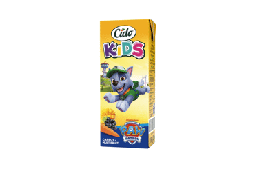 Įvairių vaisių, morkų sulčių gėrimas CIDO KIDS, 200 ml - 1