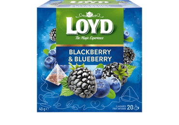 Vaisinė gervuogių ir mėlynių arbata LOYD, 40 g - 1
