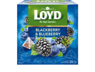 Vaisinė gervuogių ir mėlynių arbata LOYD, 40 g