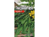 Sėjamoji gražgarstė Olivetta