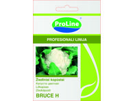 Žiediniai kopūstai  