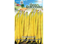 Žemaūgės daržinės pupelės Rocquencourt 50