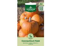 Moliūgai CONNECTICUT FIELD, AGRONOM