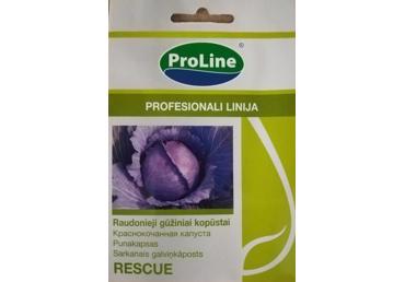 Raudongūžiai kopūstai  "Rescue H"   - 20s