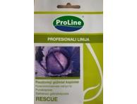 Raudongūžiai kopūstai  