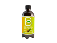 Ekologiškas ananasų sk. baltosios arbatos gėrimas KOMBUCHA, 400 ml