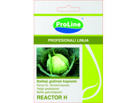 Baltagūžiai kopūstai  