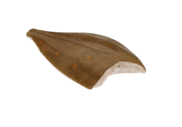 Paltusinės plekšnės, skrostos, atitirpintos, 1 kg