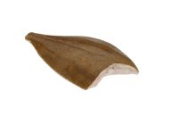 Paltusinė plekšnė, skrosta, atitirp. (lot. Microstomus kitt), 1 kg