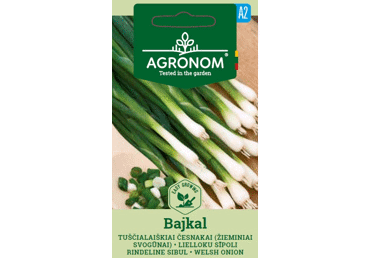 Tuščialaiškių česnakų sėklos BAJKAL,  AGRONOM