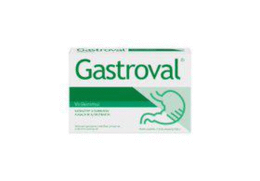 Maisto papildas GASTROVAL, 15 vnt.