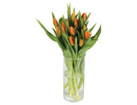 Tulpių puokštė, 15 vnt 