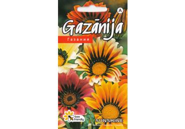 Gazanija Sunshine