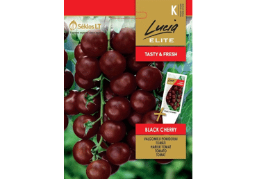 Pomidorai Black cherry,  LUCIA ELITE